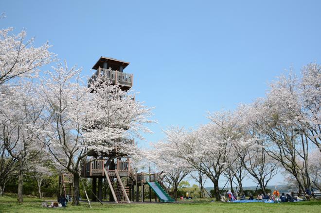 城山公園_1