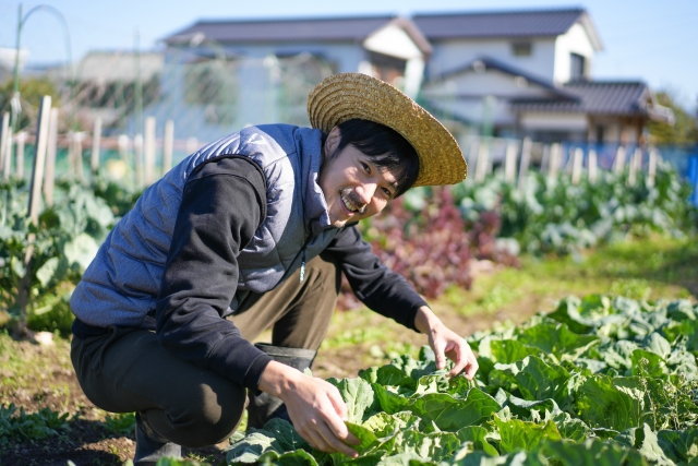 農業をする男性の画像