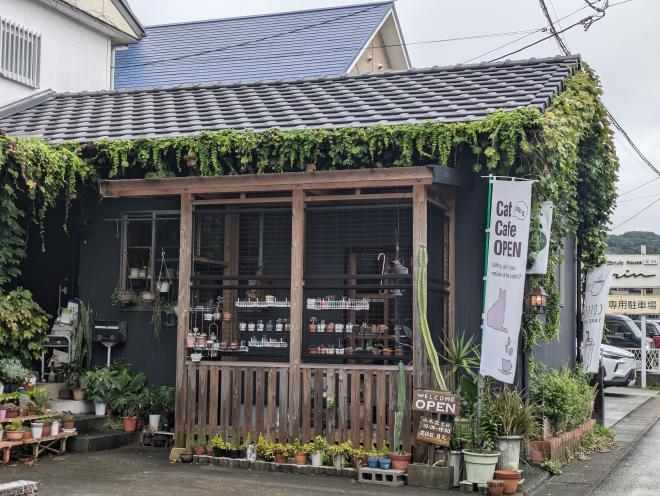 13_Auntyama3scafe
