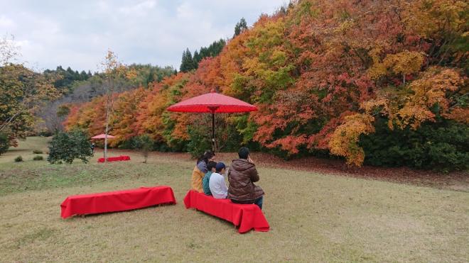 花水木紅葉